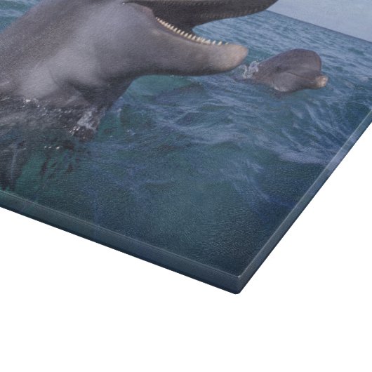 Karibik, Bottlen Schneidebrett (Ecke)