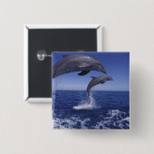 Karibik, Bottlenose Button (Vorne & Hinten)