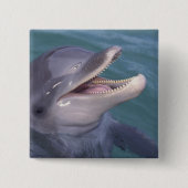 Karibik, Bottlenose Button (Vorderseite)