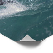 Karibik, Bottlenose Delphine Tursiops 13 Poster (Ecke)