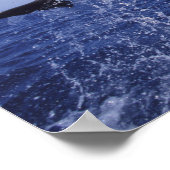Karibik, Bottlenose Delphine Tursiops 7 Poster (Ecke)