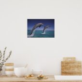 Karibik, Bottlenose Delphine Tursiops 8 Poster (Küche)