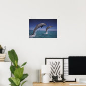 Karibik, Bottlenose Delphine Tursiops 8 Poster (Heimbüro)