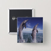 Karibik, Bottlenose Delphine Tursiops Button (Vorne & Hinten)