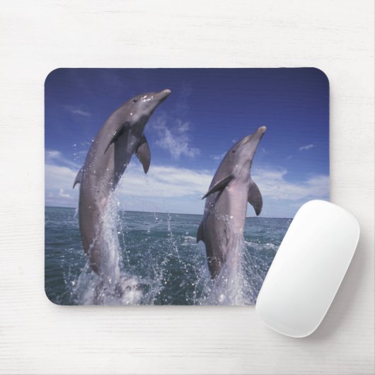 Karibik, Bottlenose Delphine Tursiops Mousepad (Mit Mouse)