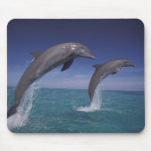 Karibik, Bottlenose Delphine Tursiops Mousepad (Vorne)