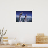 Karibik, Bottlenose Delphine Tursiops Poster (Küche)