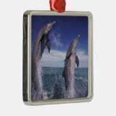 Karibik, Bottlenose Delphine Tursiops Silbernes Ornament (Rechts)