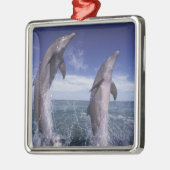 Karibik, Bottlenose Delphine Tursiops Silbernes Ornament (Links)
