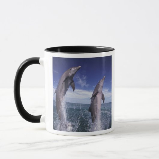 Karibik, Bottlenose Delphine Tursiops Tasse (Links)