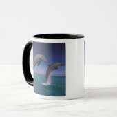 Karibik, Bottlenose Delphine Tursiops Tasse (Vorderseite Links)