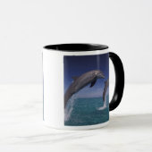 Karibik, Bottlenose Delphine Tursiops Tasse (VorderseiteRechts)