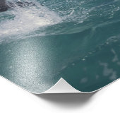 Karibik, Bottlenose Fotodruck (Ecke)