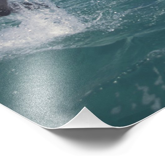 Karibik, Bottlenose Fotodruck (Ecke)