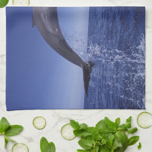 Karibik, Bottlenose Geschirrtuch (Gefaltet)