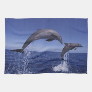 Karibik, Bottlenose Geschirrtuch