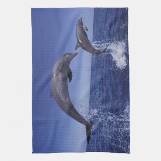 Karibik, Bottlenose Geschirrtuch (Vertikal)