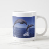 Karibik, Bottlenose Jumbo-Tasse (Rechts)