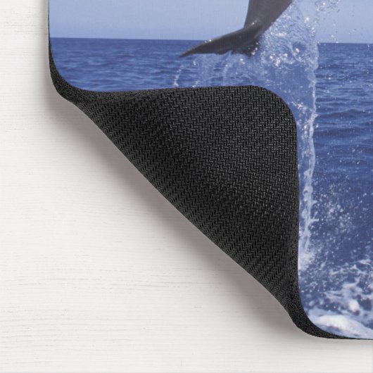 Karibik, Bottlenose Mousepad (Ecke)