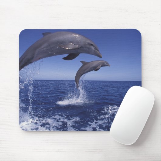Karibik, Bottlenose Mousepad (Mit Mouse)