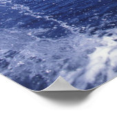 Karibik, Bottlenose Poster (Ecke)