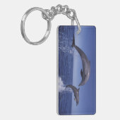 Karibik, Bottlenose Schlüsselanhänger (Vorderseite links)