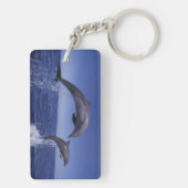 Karibik, Bottlenose Schlüsselanhänger (Rückseite)