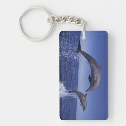 Karibik, Bottlenose Schlüsselanhänger (Vorderseite)