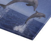 Karibik, Bottlenose Schneidebrett (Ecke)