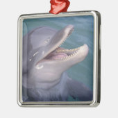 Karibik, Bottlenose Silbernes Ornament (Links)