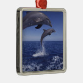 Karibik, Bottlenose Silbernes Ornament (Rechts)