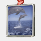 Karibik, Bottlenose Silbernes Ornament (Links)