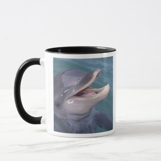Karibik, Bottlenose Tasse (Links)
