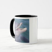 Karibik, Bottlenose Tasse (Vorderseite Links)