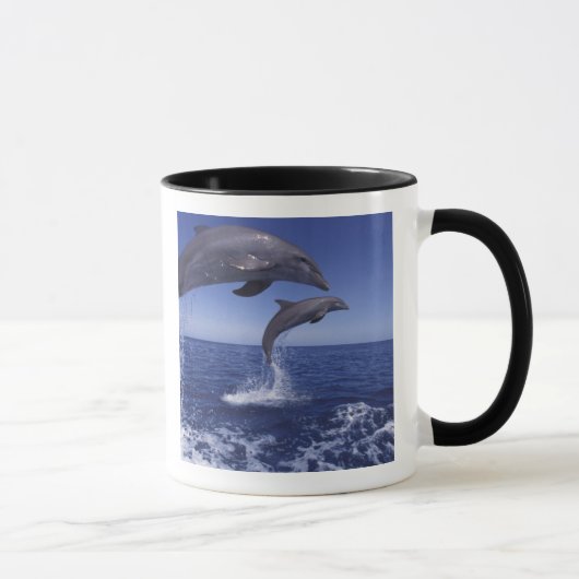 Karibik, Bottlenose Tasse (Rechts)