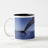 Karibik, Bottlenose Zweifarbige Tasse (Links)