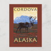 Karibik - Cordova, Alaska Postkarte (Vorderseite)
