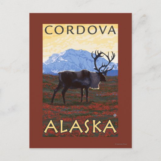Karibik - Cordova, Alaska Postkarte (Vorderseite)