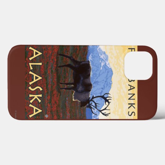 Karibik - Fairbanks, Alaska Case-Mate iPhone Hülle (Rückseite (Horizontal))