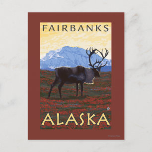 Karibik - Fairbanks, Alaska Postkarte