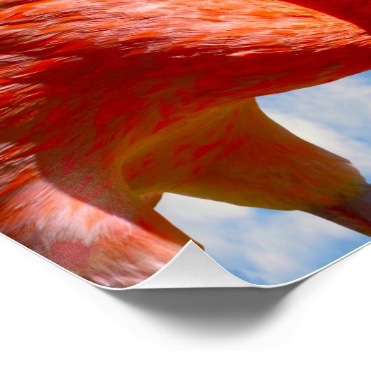 Karibik-Flamingo Poster (Ecke)