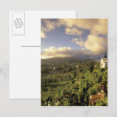 Karibik, Französisch-Westindien, Martinique. Postkarte (Vorne/Hinten)