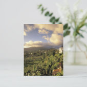 Karibik, Französisch-Westindien, Martinique. Postkarte (Stehend Vorderseite)