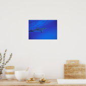Karibik, Gepunkteter Delphin der Bahamas Poster (Küche)