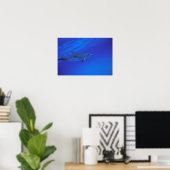Karibik, Gepunkteter Delphin der Bahamas Poster (Heimbüro)