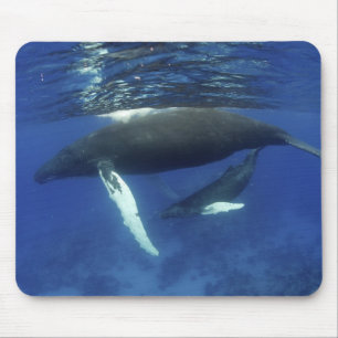 Karibik, Greater Antilles-Archipel, Mousepad