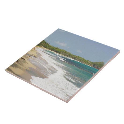 Karibik, GRENADA, Ostküste, Grenada Bay, Fliese (Seite)