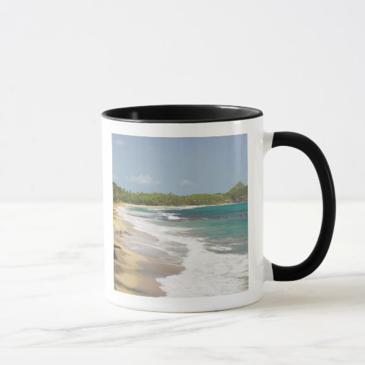 Karibik, GRENADA, Ostküste, Grenada Bay, Tasse (Rechts)