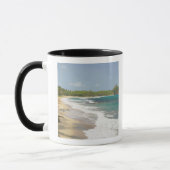 Karibik, GRENADA, Ostküste, Grenada Bay, Tasse (Links)