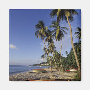 KARIBIK, Grenada, St. George, Boote auf Palmen Magnet